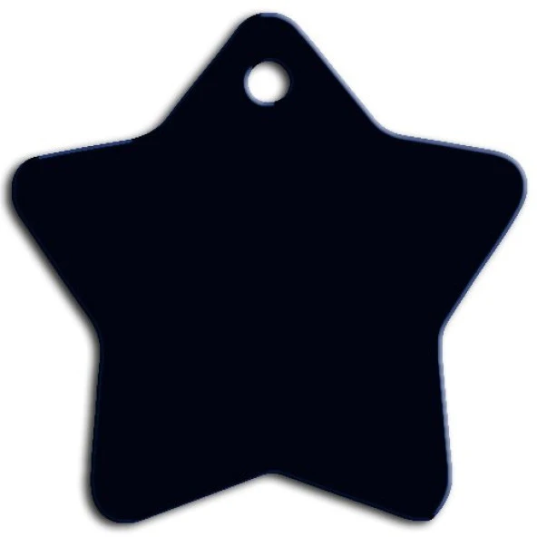 Büyük Yıldız Kedi Köpek Künyesi Siyah ürün görseli 1