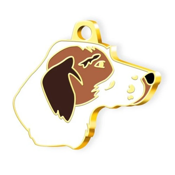 Altın Kaplama Pointer Köpek Künyesi ürün görseli 1