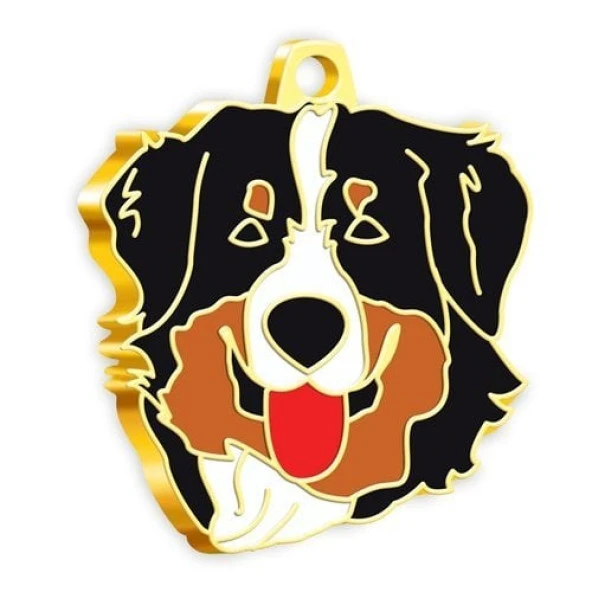 Altın Kaplama Avustralya Çoban Köpeği Köpek Künyesi ürün görseli 1