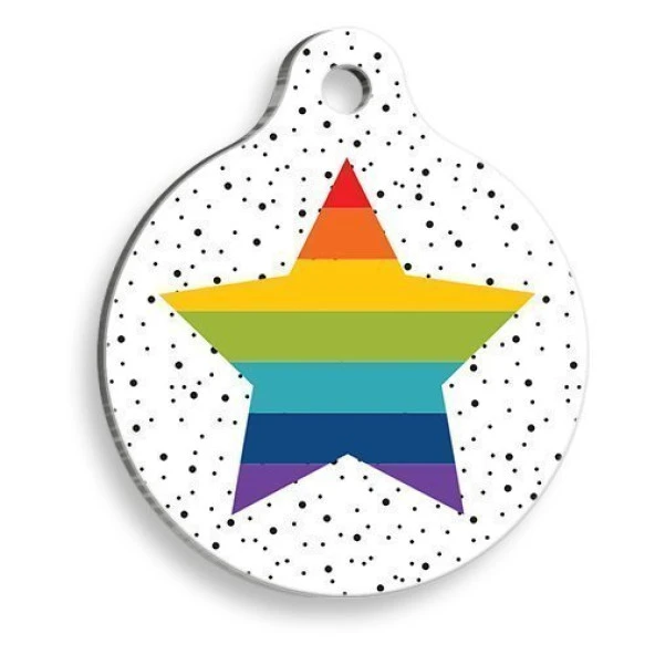 Gökkuşaklı Yıldız Yuvarlak Kedi ve Köpek Künyesi Small: 2,5 cm. ürün görseli 1