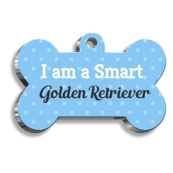 Golden Retriever Mavi Kemik Şekilli Köpek Künyesi ürün görseli 1