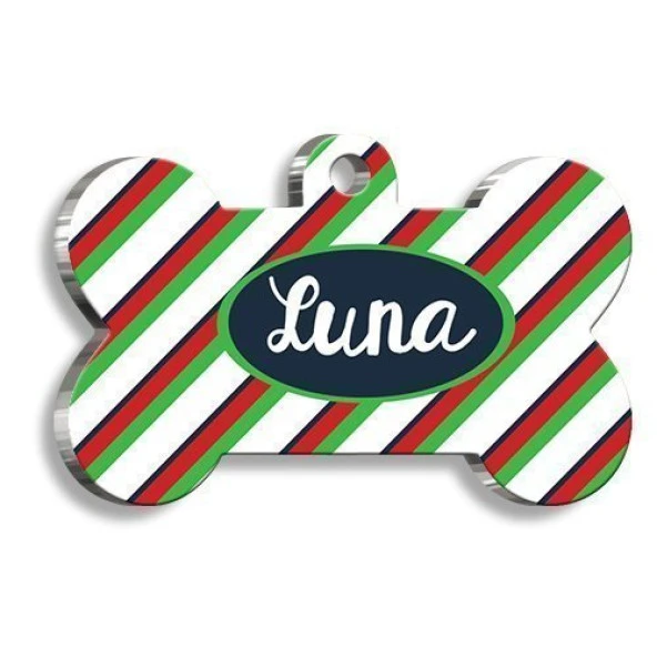 Çizgili Kedi Köpek Künyesi ürün görseli 1