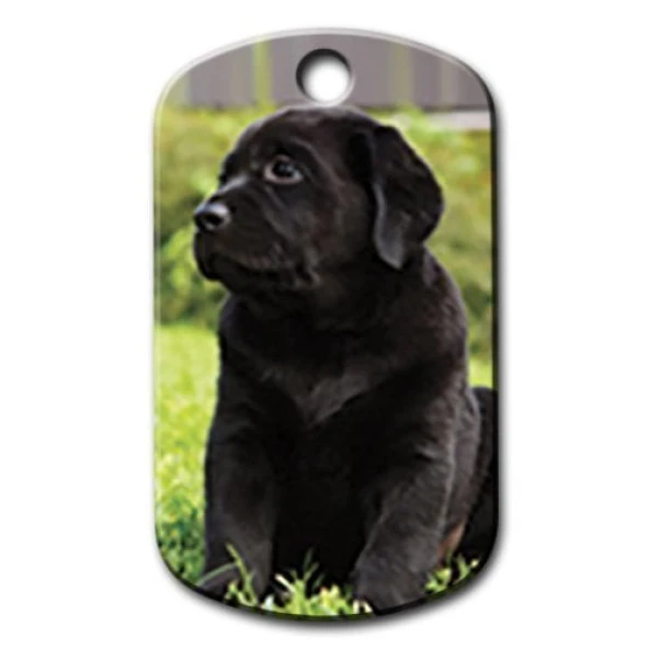 Siyah Labrador Resimli Köpek Künyesi Large ürün görseli 1