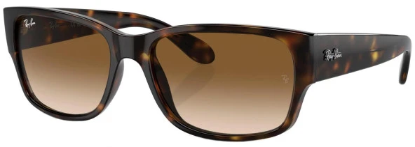 Ray-Ban RB4388 710/51 58 Unisex Güneş Gözlüğü