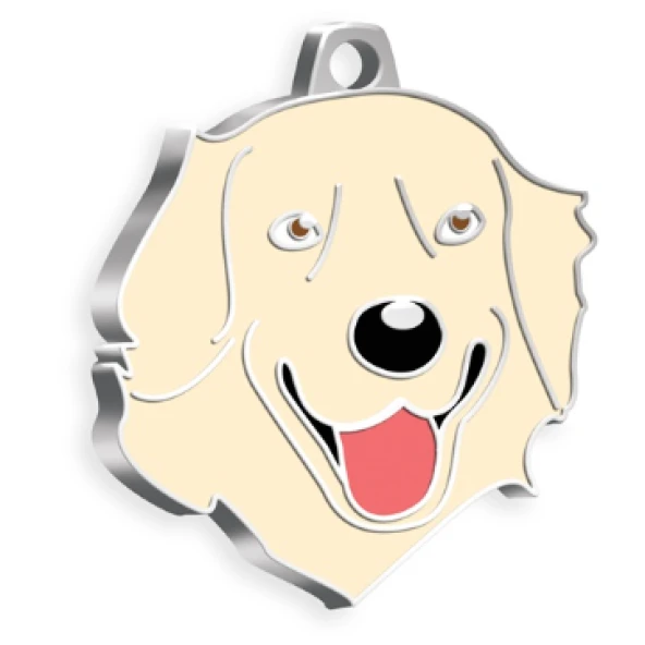 Krem Golden Retriever Köpek Künyesi