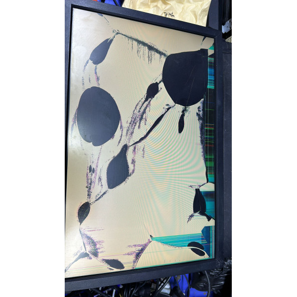 FUJITSU SCENICVIEW E19W-5 19 1440 X 900 5 MS DVI-D VGA SPEAKERS MONITOR EKRAN KIRIK