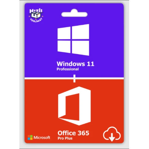 Microsoft Windows 11 Pro + Office 365 Pro Plus