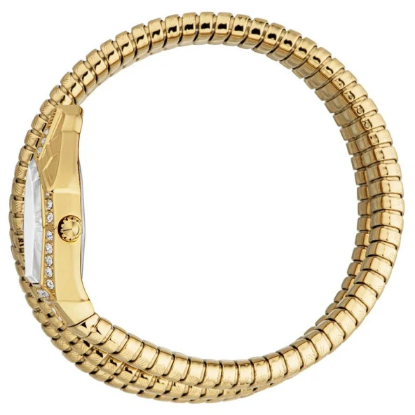 JUST CAVALLI JC1L304M0025 Kadın Kol Saati - Resim 3