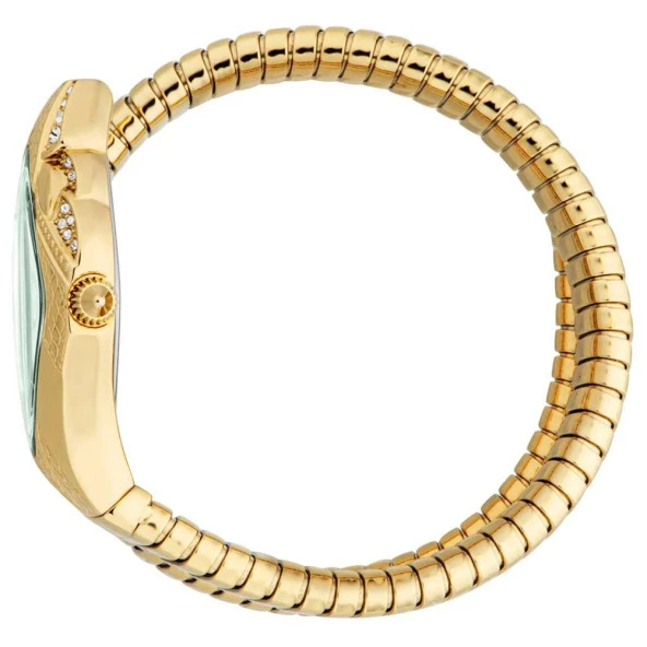 JUST CAVALLI JC1L306M0045 Kadın Kol Saati - Resim 3