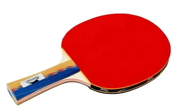 Slazenger Master ITTF Onaylı Masa Tenis RKT.(6STAR) - 2