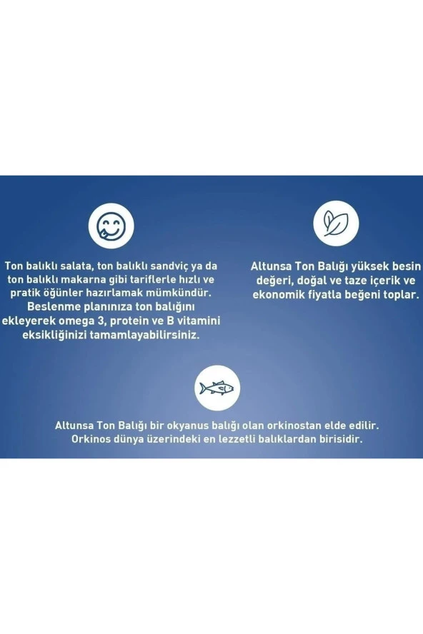 ALTUNSA Ton Balığı Acılı 12 Adet × 160 Gr - 3