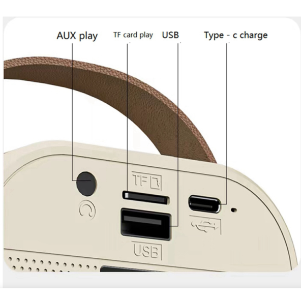 QASUL Kablosuz Mikrofonlu Karaoke Hoparlörü, Üstün Ses, Işık Efektleri Ve Çok Yönlü Kullanım - 6