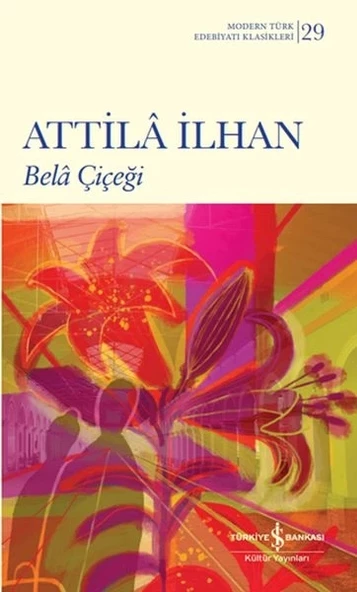 Bela Çiçeği