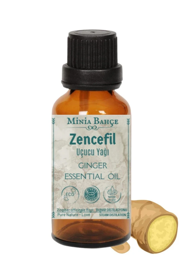 Zencefil Uçucu Yağı , %100 Saf, 10ml