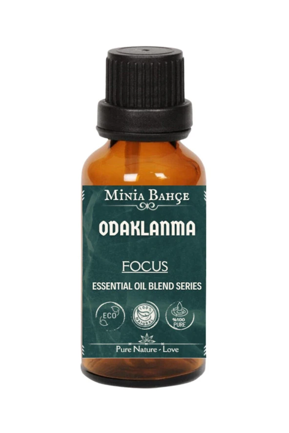 Odaklanma ( Focus ) Uçucu Yağ Karışımı, %100 Saf, 10 ml - 2