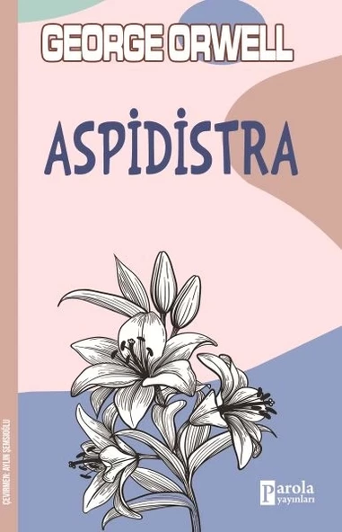 Aspidistra - 1