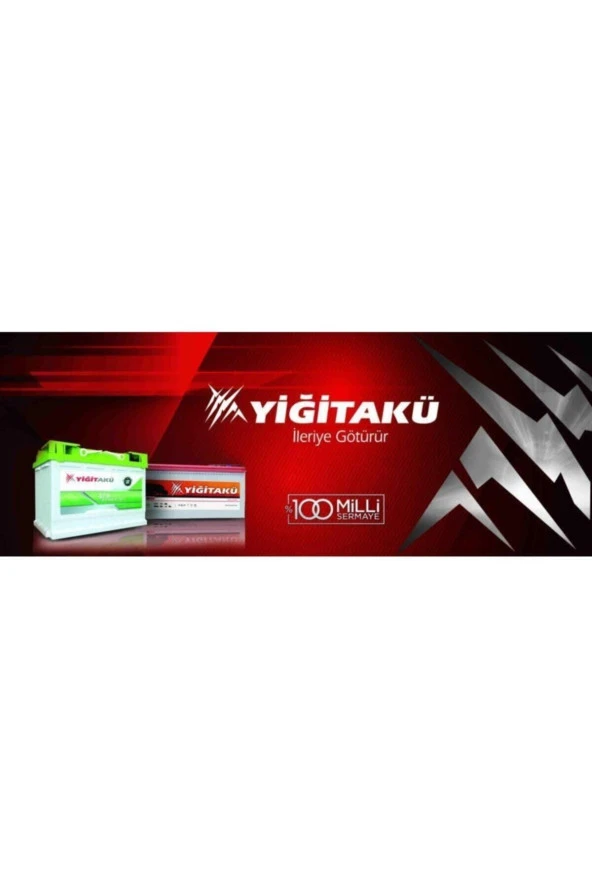 Yiğit 12V 60 Ah Amper Akü - 4