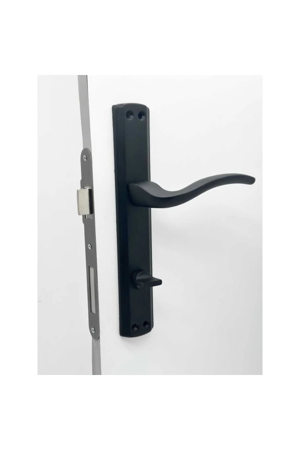 Trim Mat Siyah Lüx Aynalı Wc Banyo Kapı Kolu Sağ Basar 2 Takım - Resim 4