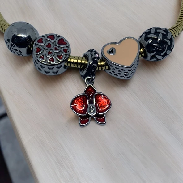 Kadın Bileklik Taşlı Çelik Pandora Bilezik Bileklik - 3