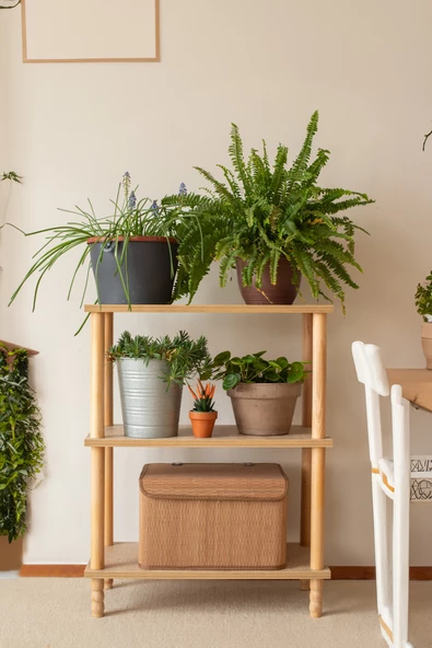 Concept 2 Raflı Organizer Kitaplık Banyo Mutfak Dolabı Balkon Ofis Düzenleyici Ahşap Nature - 3