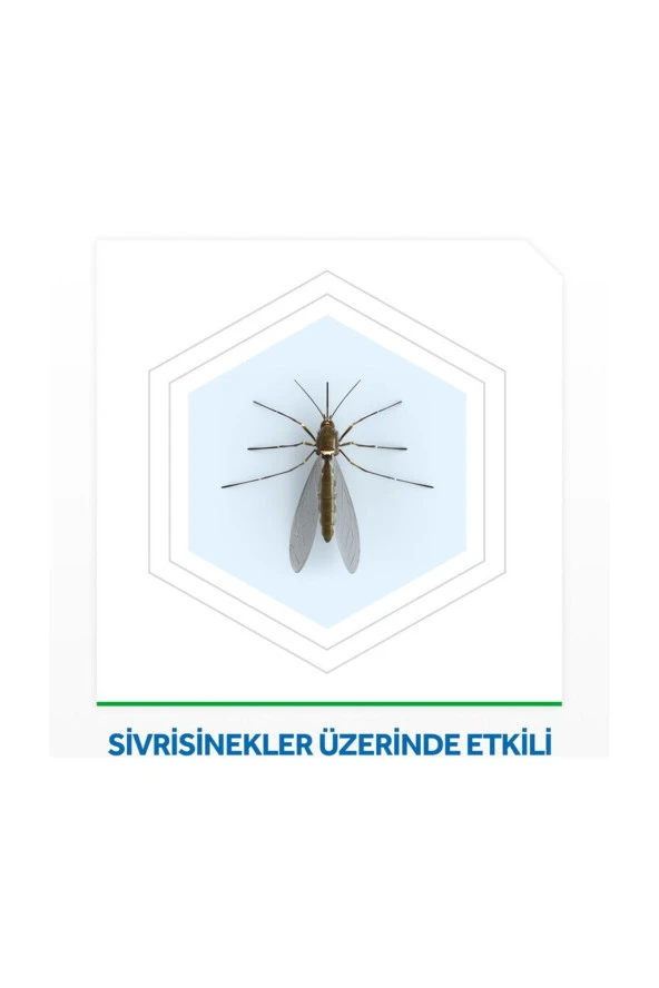 RAİD ELEKTRO LİKİT YEDEK ŞİŞE - 2