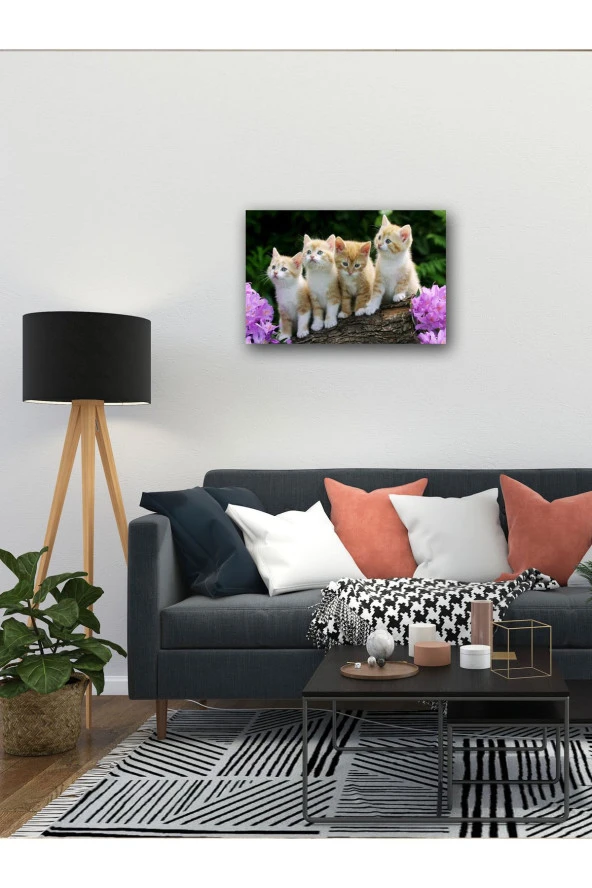 YALOVA SHOP Dekoratif Sevimli Yavru Kedi Tablosu - Resim 3