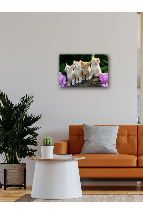 YALOVA SHOP Dekoratif Sevimli Yavru Kedi Tablosu - Resim 4