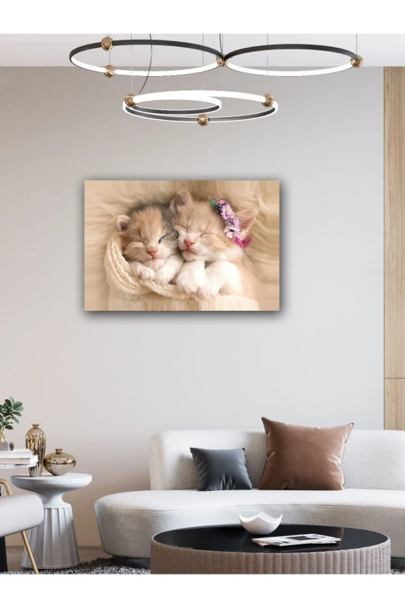 YALOVA SHOP Dekoratif Sevimli Yavru Kedi Tablosu ürün görseli 1