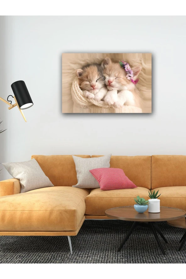YALOVA SHOP Dekoratif Sevimli Yavru Kedi Tablosu - Resim 3