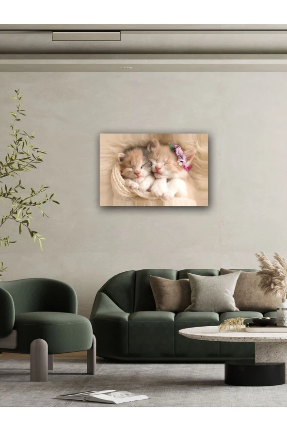 YALOVA SHOP Dekoratif Sevimli Yavru Kedi Tablosu - 4
