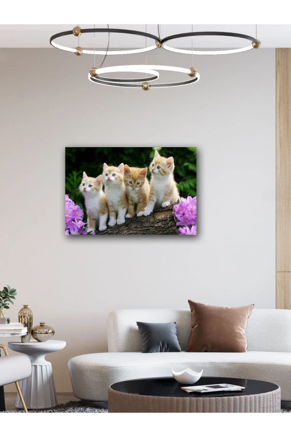 YALOVA SHOP Dekoratif Sevimli Yavru Kedi Tablosu - Resim 2