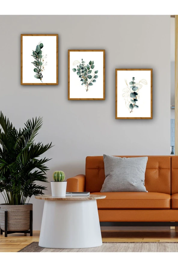 YALOVA SHOP Dekoratif Okaliptüs Dalları 3 lü Tablo Seti (Ahşap ceviz görünümlü çerçeve baskılı) 30 x 40 cm