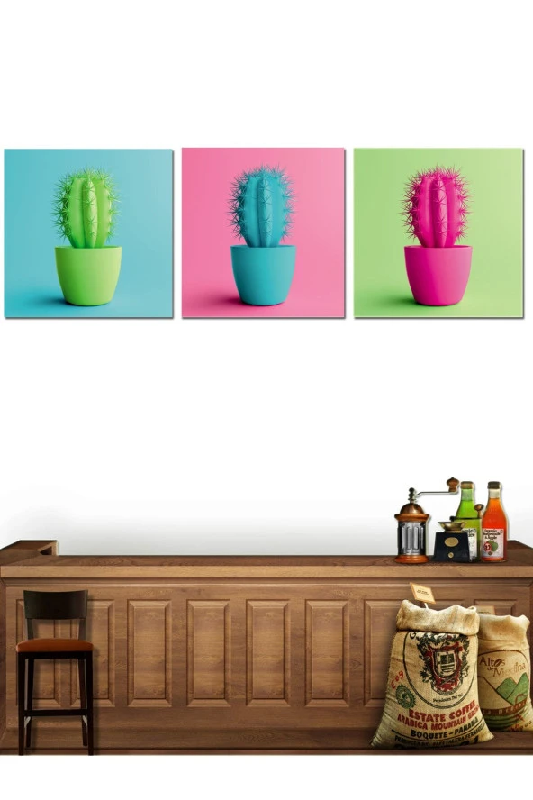 HYL Dekoratif Rengarenk Kaktüs Tabloları (3 Lü Set) ürün görseli 1