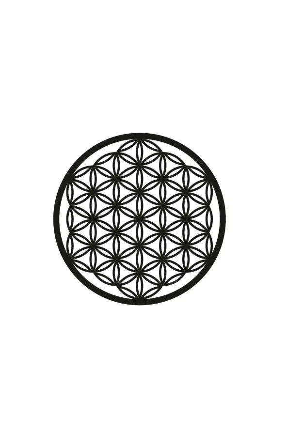 GİZEM SHOP Kutsal Geometrik Şekiller Yaşam Çiçeği Torus Set Sriyantra Hediyemizdir - Resim 2