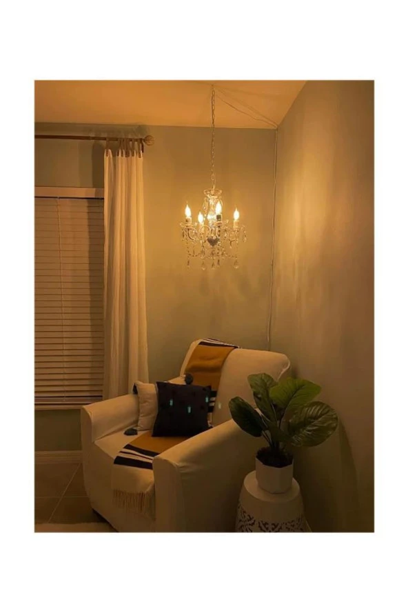 Osram Vintage 2,5W (22W) Kıvrımlı Rustik Led Mum Ampul - Sarı Dekoratif Lamba - 6