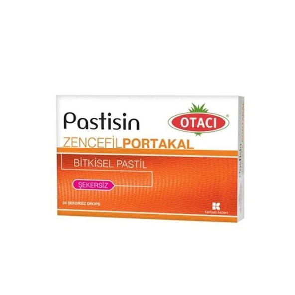 OTACI PASTİSİN ZENCEFİL PORTAKAL PASTİL ürün görseli 1