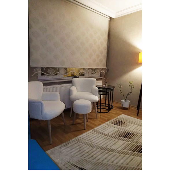 LOVİSSE HOME 3lü Berjer Set Tekli Koltuk Balkon, Ofis, Bekleme, Güzellik Merkezi, Çay Seti - 3