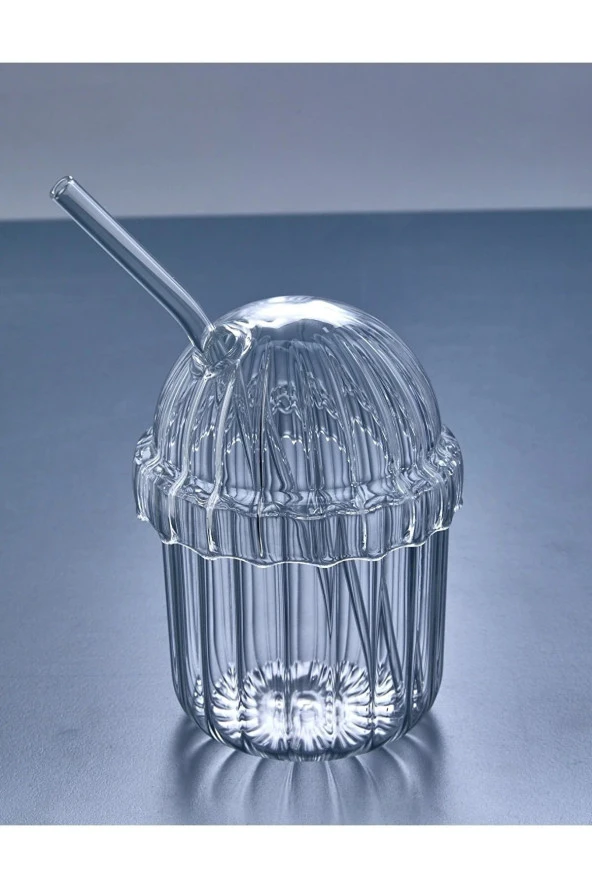 2 Adet Kapaklı Pipetli Pinterest Bardak  Soğuk Kahve Ve Sunum Bardağı  430 ml - 2