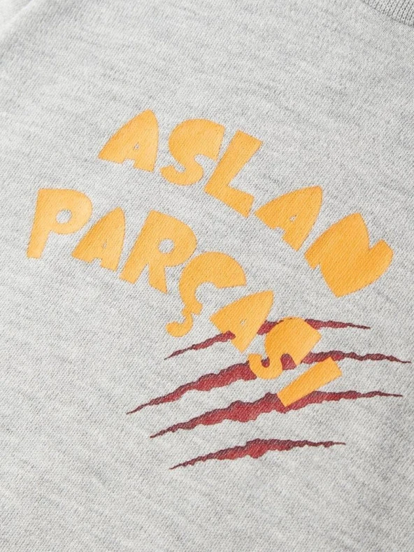 Galatasaray Orijinal Lisanslı Aslan Parçası Baskılı Bebek Body Gri Zıbın Hediyelik Ahşap Kutulu - 5