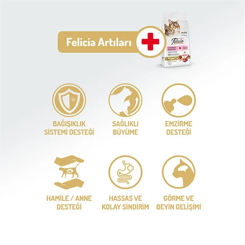 Felicia Hypoallergenic Kuzulu Düşük Tahıllı Yavru Kedi Maması 2 Kg - Resim 2