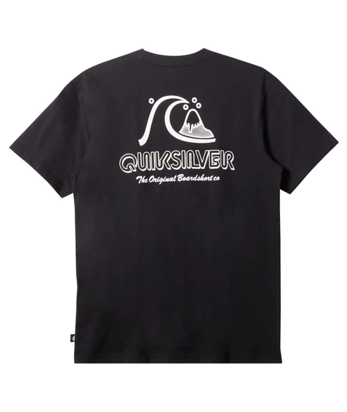 Quıksılver THE ORIGINAL BOARDSHORT MOR Erkek T-shirt AQYZT09560-QK.10010