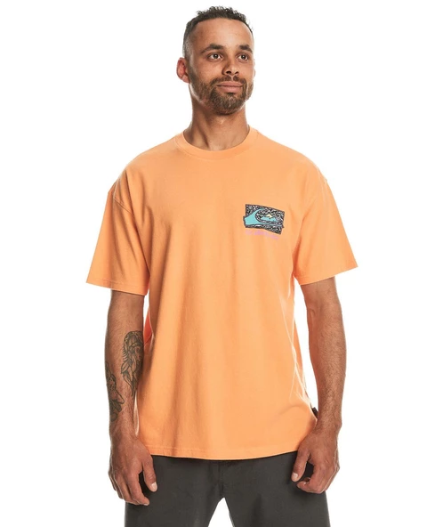 Quıksılver SPIN CYCLE SS Erkek T-shirt EQYZT07653-QK.25178 - Resim 4