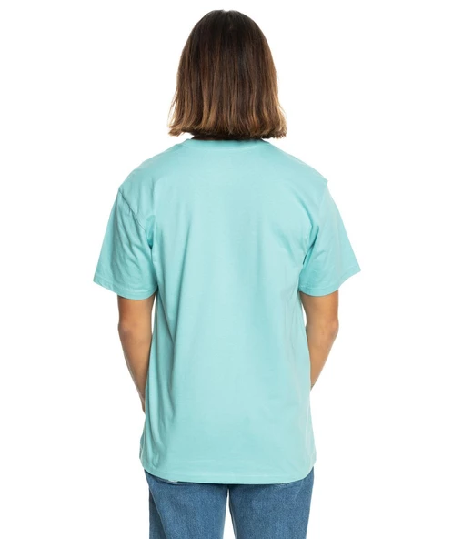 Quıksılver TROPICAL RAINBOW SS Erkek T-shirt EQYZT07679-QK.18614 - Resim 3