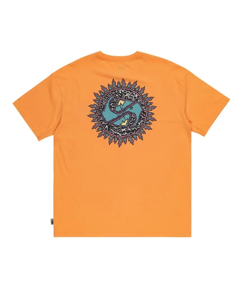 Quıksılver SPIN CYCLE SS Erkek T-shirt EQYZT07653-QK.25178 ürün görseli