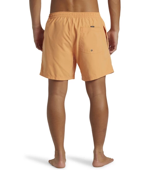 Quıksılver EVERYDAY SOLID VOLLEY 15 Erkek Şort AQYJV03153-QK.NJF0 - 4