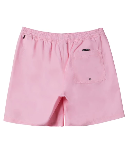 Quıksılver EVERYDAY SOLID VOLLEY 15 Erkek Şort AQYJV03153-QK.MEQ0