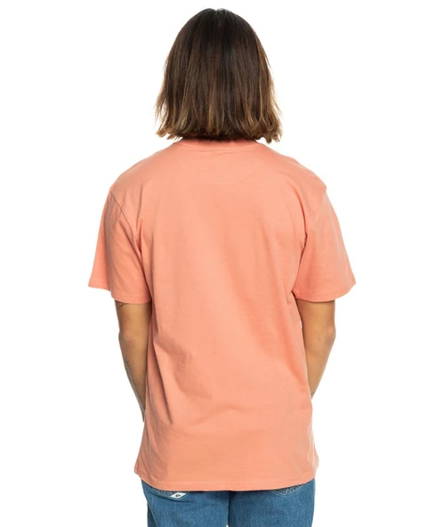 Quıksılver TROPICAL RAINBOW SS Erkek T-shirt EQYZT07679-QK.MJR0 - Resim 3