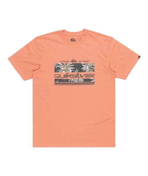 Quıksılver TROPICAL RAINBOW SS Erkek T-shirt EQYZT07679-QK.MJR0 - Resim 4