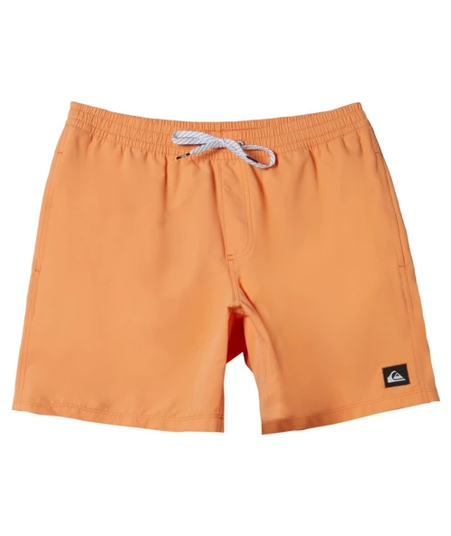 Quıksılver EVERYDAY SOLID VOLLEY 15 Erkek Şort AQYJV03153-QK.NJF0 - 5