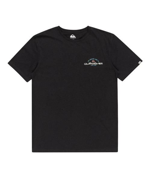 Quıksılver ARCHED TYPE SS Erkek T-shirt EQYZT07717-QK.10010 - Resim 7